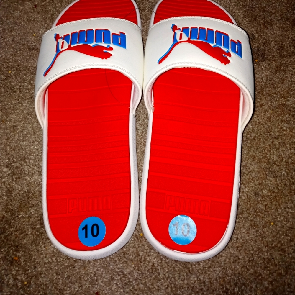 Puma slides